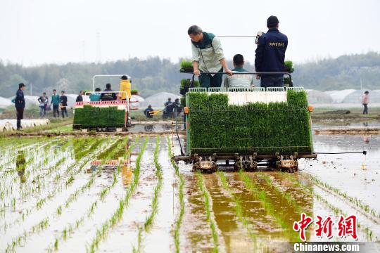 两部门：严厉打击违规骗套农机购置补贴行为