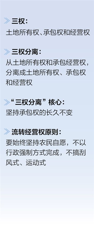 “三权分离”，警惕耕地“非农化”