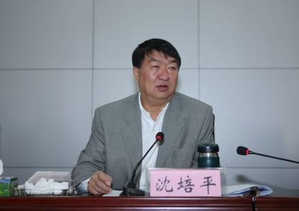 云南原副省长沈培平学历之谜：博士到教授花5个月